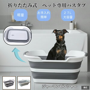 ybgp܂肽݃oX^u L  ^   Vv[ pr炢 t RpNg[ y ^ѕ֗ AEghA ԍOK ȒP W[}sV[ 