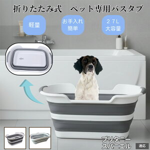 ybgp܂肽݃oX^u L  ^   Vv[ pr炢 t RpNg[ y ^ѕ֗ AEghA ԍOK ȒP u^j[XpjG 