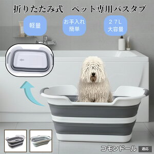 �y10�{�|�C���g�z�y�b�g�p�܂肽���݃o�X�^�u �L �� ���^�� ���� ���� �V�����v�[ ���p�r���炢 ��������t�� �R���p�N�g���[ �y�� �����^�ѕ֗� �A�E�g�h�A �ԍ�OK �������ȒP �R�����h