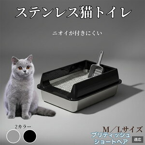 �X�e�����X���L���b�g�g�C�� �L �g�C�� ��^�L�p ��������OK �L����юU��h�~ �􂦂� �|���ȒP �h�L ������� �V���v�� �q���I ��v �����L�g�C�� �L�p�q���p�i �u���e�B�b�V���V���[�g�w