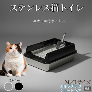 �X�e�����X���L���b�g�g�C�� �L �g�C�� ��^�L�p ��������OK �L����юU��h�~ �􂦂� �|���ȒP �h�L ������� �V���v�� �q���I ��v �����L�g�C�� �L�p�q���p�i �G�L�]�`�b�N�V���[�g�w�A