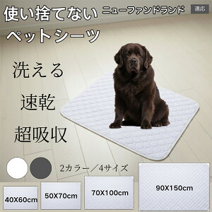 􂦂ybgV[c h z ~ }bg  L ^ ^ ^ Ή p gCV[g Rh~ ybg}bg ėp^Cv j[t@hh 