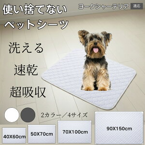 􂦂ybgV[c h z ~ }bg  L ^ ^ ^ Ή p gCV[g Rh~ ybg}bg ėp^Cv [NV[eA 