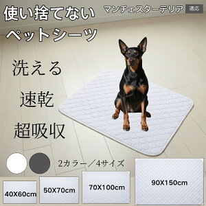 􂦂ybgV[c h z ~ }bg  L ^ ^ ^ Ή p gCV[g Rh~ ybg}bg ėp^Cv }`FX^[eA 