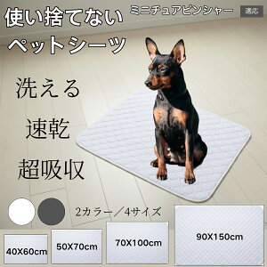 􂦂ybgV[c h z ~ }bg  L ^ ^ ^ Ή p gCV[g Rh~ ybg}bg ėp^Cv ~j`AsV[ 