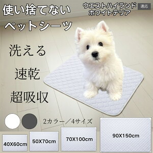 􂦂ybgV[c h z ~ }bg  L ^ ^ ^ Ή p gCV[g Rh~ ybg}bg ėp^Cv EGXgnChzC