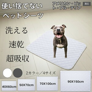 􂦂ybgV[c h z ~ }bg  L ^ ^ ^ Ή p gCV[g Rh~ ybg}bg ėp^Cv AJsbgue