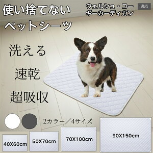 􂦂ybgV[c h z ~ }bg  L ^ ^ ^ Ή p gCV[g Rh~ ybg}bg ėp^Cv EFVR[M[J[f