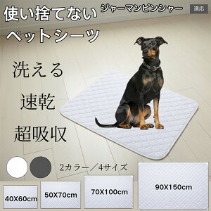 􂦂ybgV[c h z ~ }bg  L ^ ^ ^ Ή p gCV[g Rh~ ybg}bg ėp^Cv W[}sV[ 