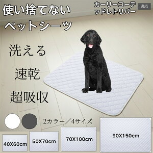 􂦂ybgV[c h z ~ }bg  L ^ ^ ^ Ή p gCV[g Rh~ ybg}bg ėp^Cv J[[R[ebhg