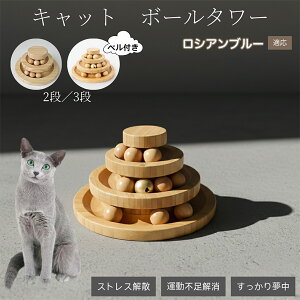 �L�������� �L���b�g�{�[���^���[ �V�R�| ���w�{�[����]�^���[ �q�L ���L �����^�� �m��ߋ� �^���s���E�X�g���X���� ������������ �L�^���[�ߋ� ���V�A���u���[�L ���V�A��