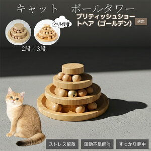 �L�������� �L���b�g�{�[���^���[ �V�R�| ���w�{�[����]�^���[ �q�L ���L �����^�� �m��ߋ� �^���s���E�X�g���X���� ������������ �L�^���[�ߋ� �u���e�B�b�V���V���[�g�w�A�S�[���f��