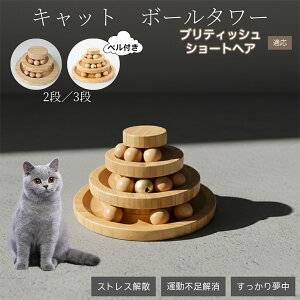 �L�������� �L���b�g�{�[���^���[ �V�R�| ���w�{�[����]�^���[ �q�L ���L �����^�� �m��ߋ� �^���s���E�X�g���X���� ������������ �L�^���[�ߋ� �u���e�B�b�V���V���[�g�w�A�L �u���V��