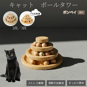 �L�������� �L���b�g�{�[���^���[ �V�R�| ���w�{�[����]�^���[ �q�L ���L �����^�� �m��ߋ� �^���s���E�X�g���X���� ������������ �L�^���[�ߋ� �{���x�C�L�� �{���x�C