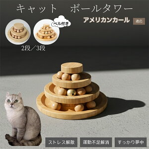 L Lbg{[^[ VR| w{[]^[ qL L ^ mߋ ^sEXgX  L^[ߋ AJJ[L AJ[