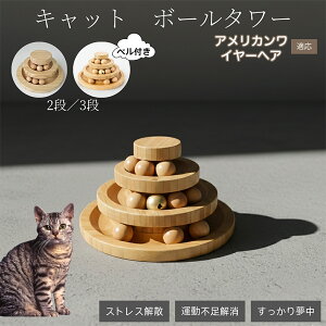 �L�������� �L���b�g�{�[���^���[ �V�R�| ���w�{�[����]�^���[ �q�L ���L �����^�� �m��ߋ� �^���s���E�X�g���X���� ������������ �L�^���[�ߋ� �A�����J�����C���[�w�A�L �A�����C