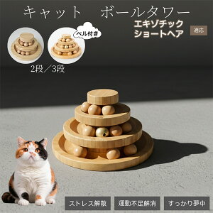 �L�������� �L���b�g�{�[���^���[ �V�R�| ���w�{�[����]�^���[ �q�L ���L �����^�� �m��ߋ� �^���s���E�X�g���X���� ������������ �L�^���[�ߋ� �G�L�]�`�b�N�V���[�g�w�A�L �G�L�]