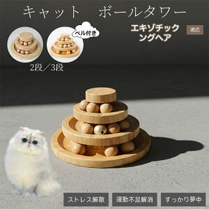 �L�������� �L���b�g�{�[���^���[ �V�R�| ���w�{�[����]�^���[ �q�L ���L �����^�� �m��ߋ� �^���s���E�X�g���X���� ������������ �L�^���[�ߋ� �G�L�]�`�b�N�����O�w�A�L �G�L�]����