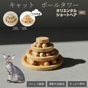 �L�������� �L���b�g�{�[���^���[ �V�R�| ���w�{�[����]�^���[ �q�L ���L �����^�� �m��ߋ� �^���s���E�X�g���X���� ������������ �L�^���[�ߋ� �I���G���^���V���[�g�w�A�L �I���V��