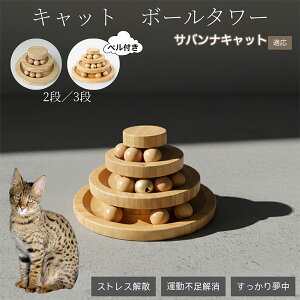 L Lbg{[^[ VR| w{[]^[ qL L ^ mߋ ^sEXgX  L^[ߋ ToiLbgL Toi