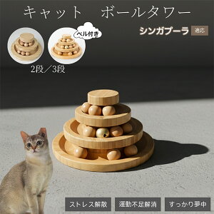 �L�������� �L���b�g�{�[���^���[ �V�R�| ���w�{�[����]�^���[ �q�L ���L �����^�� �m��ߋ� �^���s���E�X�g���X���� ������������ �L�^���[�ߋ� �V���K�v�[���L�� �V���K