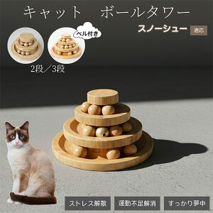 �L�������� �L���b�g�{�[���^���[ �V�R�| ���w�{�[����]�^���[ �q�L ���L �����^�� �m��ߋ� �^���s���E�X�g���X���� ������������ �L�^���[�ߋ� �X�m�[�V���[�L�� �X�m�[�V���[