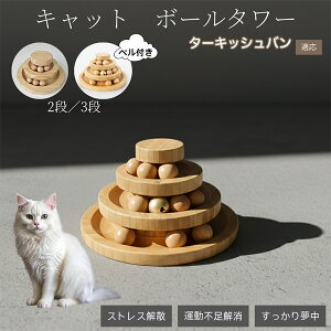 �y10�{�|�C���g�z�L�������� �L���b�g�{�[���^���[ �V�R�| ���w�{�[����]�^���[ �q�L ���L �����^�� �m��ߋ� �^���s���E�X�g���X���� ������������ �L�^���[�ߋ� �^�[�L�b�V���o���L �o