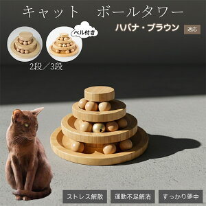 �L�������� �L���b�g�{�[���^���[ �V�R�| ���w�{�[����]�^���[ �q�L ���L �����^�� �m��ߋ� �^���s���E�X�g���X���� ������������ �L�^���[�ߋ� �n�o�i�u���E���L �n�o�i