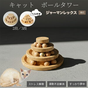 �L�������� �L���b�g�{�[���^���[ �V�R�| ���w�{�[����]�^���[ �q�L ���L �����^�� �m��ߋ� �^���s���E�X�g���X���� ������������ �L�^���[�ߋ� �W���[�}�����b�N�X�L �W���[�}��