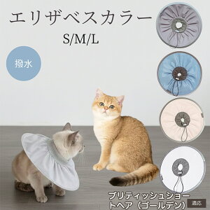 �y10�{�|�C���g�z�� �L �G���U�x�X�J���[ �h���\�t�g�^�C�v �p��P�A �����ی� ���r�ߖh�~ �y�b�g�P�A�p�i ���L���p ��փ^�C�v ���P�A �y�b�g�Ō�O�b�Y ���炩���K�f�U�C�� �u���e�B