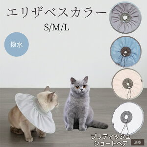  L GUxXJ[ h\tg^Cv pPA ی rߖh~ ybgPApi Lp փ^Cv PA ybgŌObY 炩KfUC ueBbVV[gw