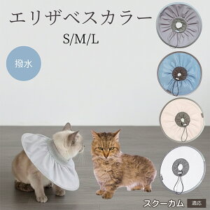 �y10�{�|�C���g�z�� �L �G���U�x�X�J���[ �h���\�t�g�^�C�v �p��P�A �����ی� ���r�ߖh�~ �y�b�g�P�A�p�i ���L���p ��փ^�C�v ���P�A �y�b�g�Ō�O�b�Y ���炩���K�f�U�C�� �X�N�[�J