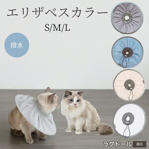  L GUxXJ[ h\tg^Cv pPA ی rߖh~ ybgPApi Lp փ^Cv PA ybgŌObY 炩KfUC Oh[L O