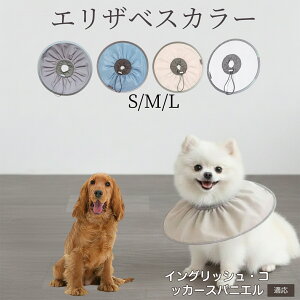 �y10�{�|�C���g�z�� �L �G���U�x�X�J���[ �h���\�t�g�^�C�v �p��P�A �����ی� ���r�ߖh�~ �y�b�g�P�A�p�i ���L���p ��փ^�C�v ���P�A �y�b�g�Ō�O�b�Y ���炩���K�f�U�C�� �C���O��