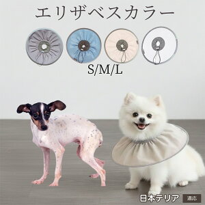 �y10�{�|�C���g�z�� �L �G���U�x�X�J���[ �h���\�t�g�^�C�v �p��P�A �����ی� ���r�ߖh�~ �y�b�g�P�A�p�i ���L���p ��փ^�C�v ���P�A �y�b�g�Ō�O�b�Y ���炩���K�f�U�C�� ���{�e��