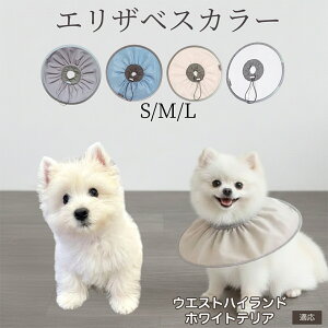 �� �L �G���U�x�X�J���[ �h���\�t�g�^�C�v �p��P�A �����ی� ���r�ߖh�~ �y�b�g�P�A�p�i ���L���p ��փ^�C�v ���P�A �y�b�g�Ō�O�b�Y ���炩���K�f�U�C�� �E�G�X�g�n�C�����h�z���C