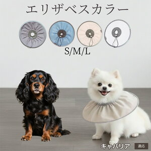 �y10�{�|�C���g�z�� �L �G���U�x�X�J���[ �h���\�t�g�^�C�v �p��P�A �����ی� ���r�ߖh�~ �y�b�g�P�A�p�i ���L���p ��փ^�C�v ���P�A �y�b�g�Ō�O�b�Y ���炩���K�f�U�C�� �L���o��