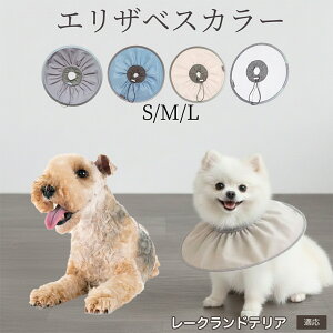 �� �L �G���U�x�X�J���[ �h���\�t�g�^�C�v �p��P�A �����ی� ���r�ߖh�~ �y�b�g�P�A�p�i ���L���p ��փ^�C�v ���P�A �y�b�g�Ō�O�b�Y ���炩���K�f�U�C�� ���[�N�����h�e���A�� ��