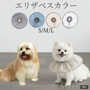 �� �L �G���U�x�X�J���[ �h���\�t�g�^�C�v �p��P�A �����ی� ���r�ߖh�~ �y�b�g�P�A�p�i ���L���p ��փ^�C�v ���P�A �y�b�g�Ō�O�b�Y ���炩���K�f�U�C�� ���T�A�v�\���� ���T�A�v