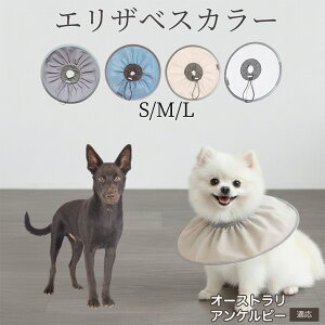 �� �L �G���U�x�X�J���[ �h���\�t�g�^�C�v �p��P�A �����ی� ���r�ߖh�~ �y�b�g�P�A�p�i ���L���p ��փ^�C�v ���P�A �y�b�g�Ō�O�b�Y ���炩���K�f�U�C�� �I�[�X�g�����A���P���s�[