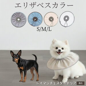 �� �L �G���U�x�X�J���[ �h���\�t�g�^�C�v �p��P�A �����ی� ���r�ߖh�~ �y�b�g�P�A�p�i ���L���p ��փ^�C�v ���P�A �y�b�g�Ō�O�b�Y ���炩���K�f�U�C�� �g�C�}���`�F�X�^�[�e���A