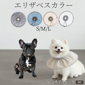  L GUxXJ[ h\tg^Cv pPA ی rߖh~ ybgPApi Lp փ^Cv PA ybgŌObY 炩KfUC t`uhbO t