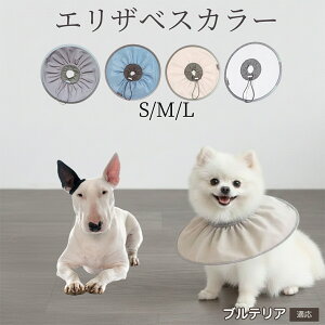 �� �L �G���U�x�X�J���[ �h���\�t�g�^�C�v �p��P�A �����ی� ���r�ߖh�~ �y�b�g�P�A�p�i ���L���p ��փ^�C�v ���P�A �y�b�g�Ō�O�b�Y ���炩���K�f�U�C�� �~�j�`���A�u���e���A�� 