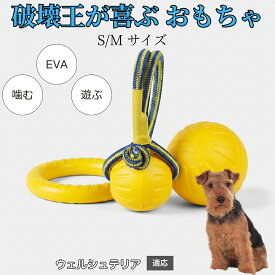【最大40%OFFクーポン配布中】 犬用 おもちゃ EVA リング ドーナツ ボール 噛む 遊び用 ペット玩具 軽量 素材 水に浮く 運動 遊び ストレス 発散 小型犬 中型犬 大型犬 対応 ウェルシュテリア犬 ウェルシュ