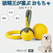 楽天市場】ボール 穴（犬用品｜ペット・ペットグッズ）の通販
