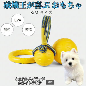 �y10�{�|�C���g�z���p �������� EVA �����O �h�[�i�c �{�[�� ���� �V�їp �y�b�g�ߋ� �y�� �f�� ���ɕ��� �^�� �V�� �X�g���X ���U ���^�� ���^�� ��^�� �Ή� �E�G�X�g�n�C�����h�z���C�g�e��