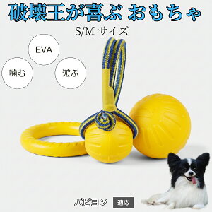 �y10�{�|�C���g�z���p �������� EVA �����O �h�[�i�c �{�[�� ���� �V�їp �y�b�g�ߋ� �y�� �f�� ���ɕ��� �^�� �V�� �X�g���X ���U ���^�� ���^�� ��^�� �Ή� �p�s�������� �p�s����