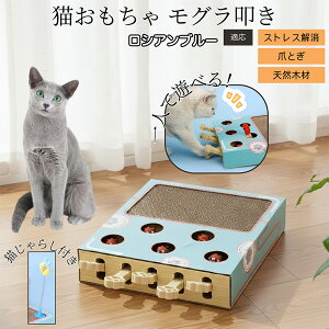 �y10�{�|�C���g�z�L�p�������� �܂Ƃ� �_���{�[�� �X�N���b�`���[ �L�X�N���b�`���[ ������@�� �L����炵 �˂��݂������� �����L �ЂƂ�V�� �������� �Ή� ���V�A���u���[�L ���V�A��