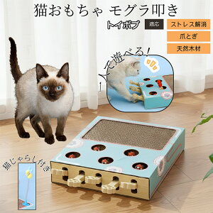 �y10�{�|�C���g�z�L�p�������� �܂Ƃ� �_���{�[�� �X�N���b�`���[ �L�X�N���b�`���[ ������@�� �L����炵 �˂��݂������� �����L �ЂƂ�V�� �������� �Ή� �g�C�{�u�L�� �g�C�{�u