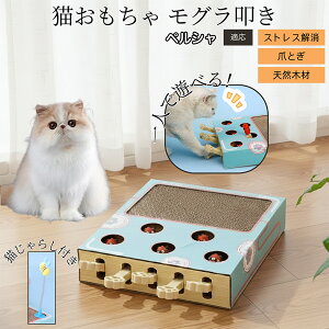 �y10�{�|�C���g�z������@�����L����炵�t���X�N���b�`���[ �L�������� �܂Ƃ� �_���{�[���L�܂Ƃ� ������@���V�� �˂��݂������� ��яo���l�Y�~ �������� �����L�^���s���E�X�g���X��